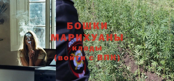 стафф Новодвинск