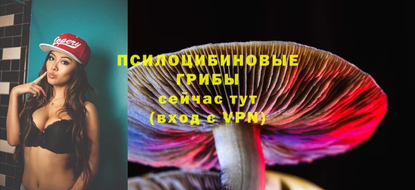 прущий лед Алексеевка