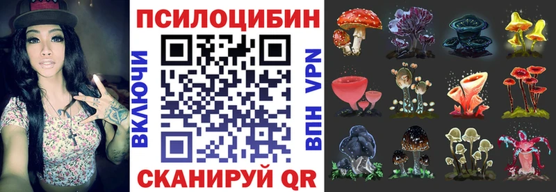 Псилоцибиновые грибы Cubensis  Сорочинск 