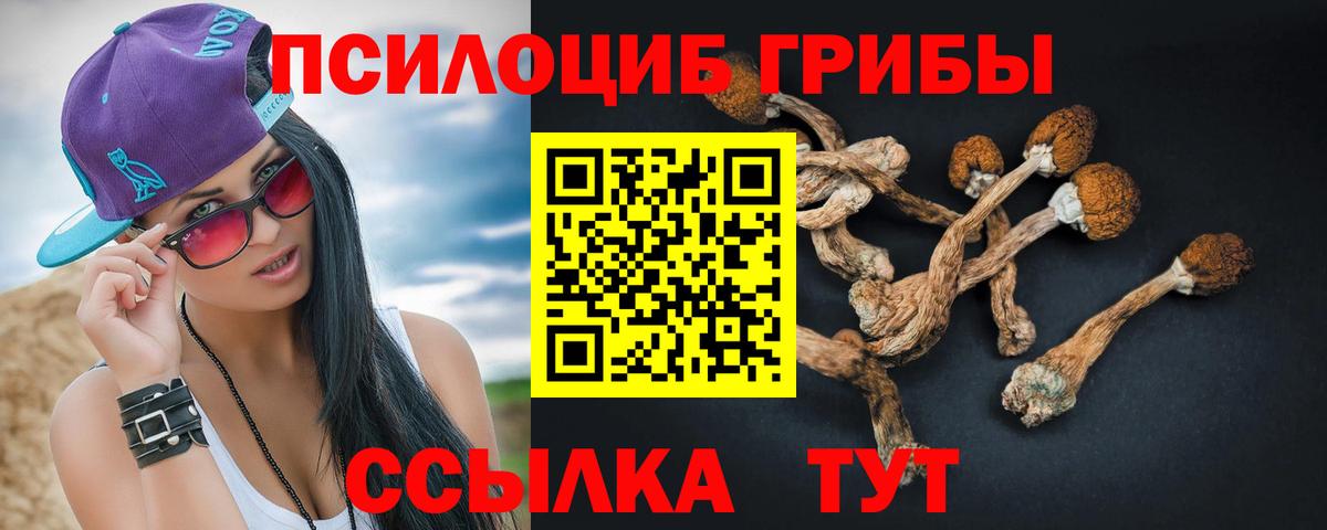 купить наркоту  Галлюциногенные грибы Magic Shrooms  Сорочинск  Вход с VPN  Галлюциногенные грибы мицелий 